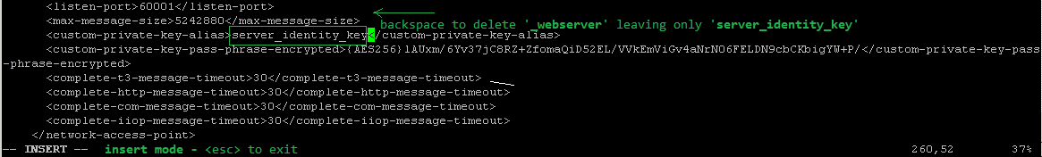 vi_config_xml_server_identity_key2