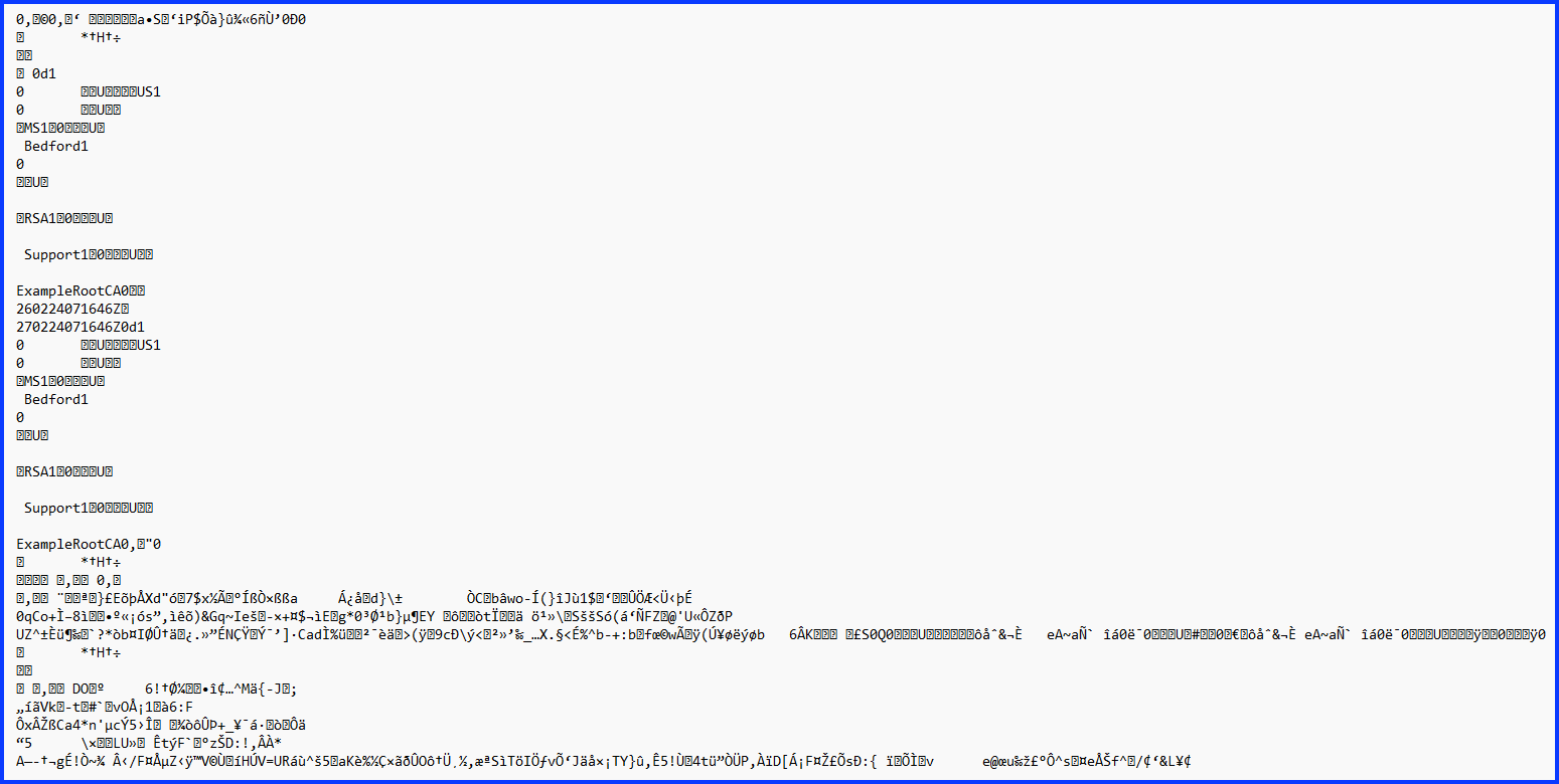Example DER format certificate, displayed in Windows Notepad
