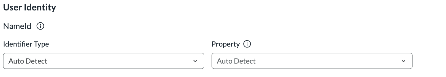 RSA User Identity settings with Auto Detect selected